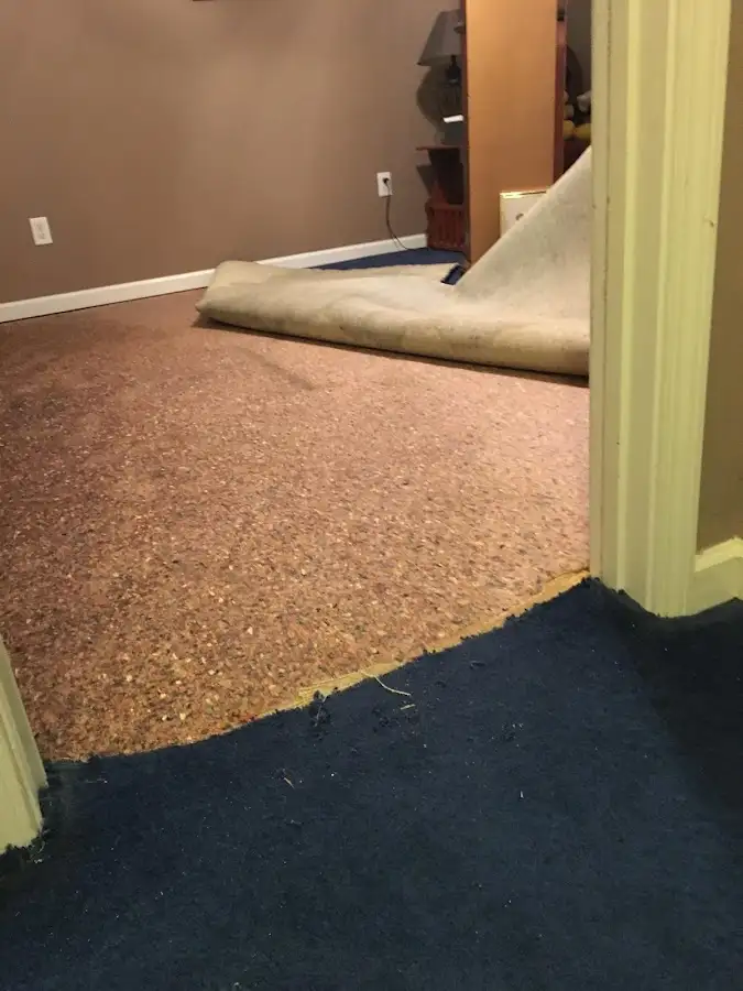 Carpet pad removal revealing water damage during Drying & Dehumidification in Huntley
